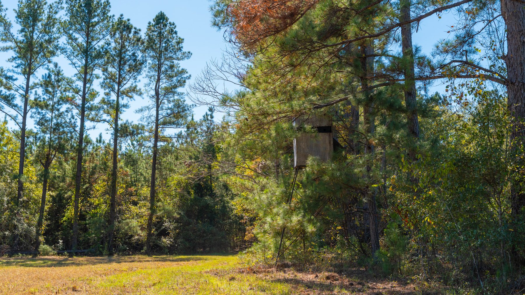 Image for 170+/- Acres - The Ohoopee River Retreat - Prime Recreational Land w/ Hunting Cabin Offered Divided & as a Whole