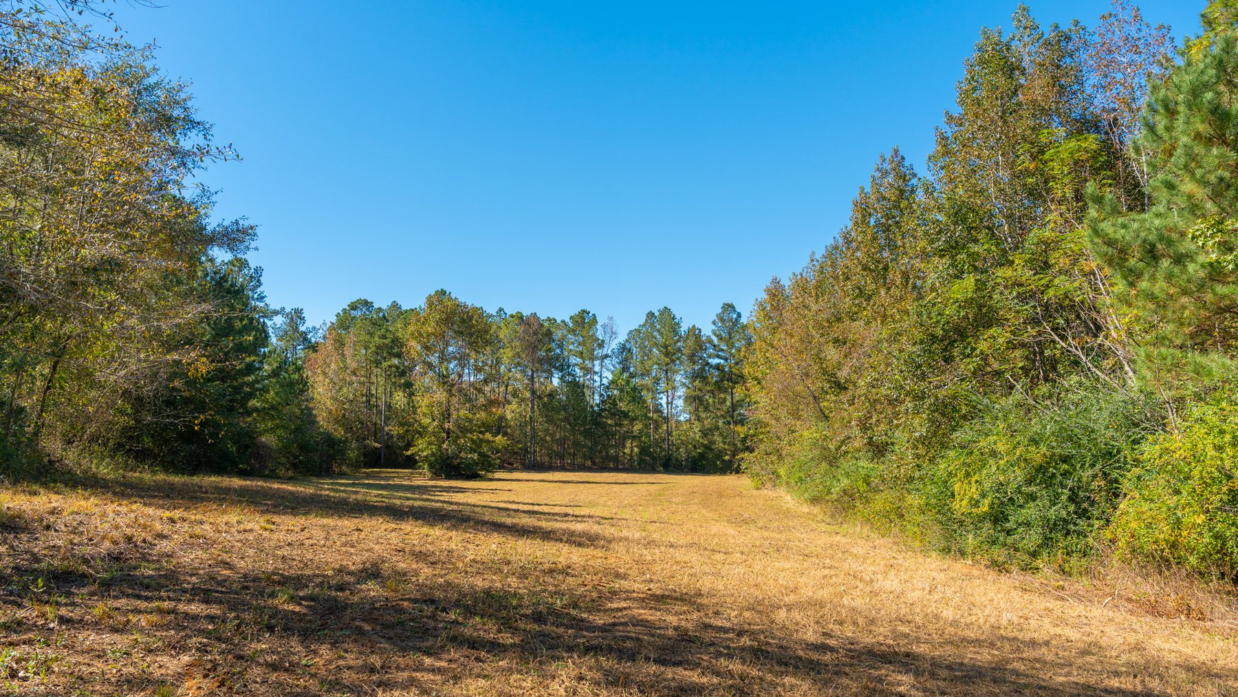 Image for 170+/- Acres - The Ohoopee River Retreat - Prime Recreational Land w/ Hunting Cabin Offered Divided & as a Whole