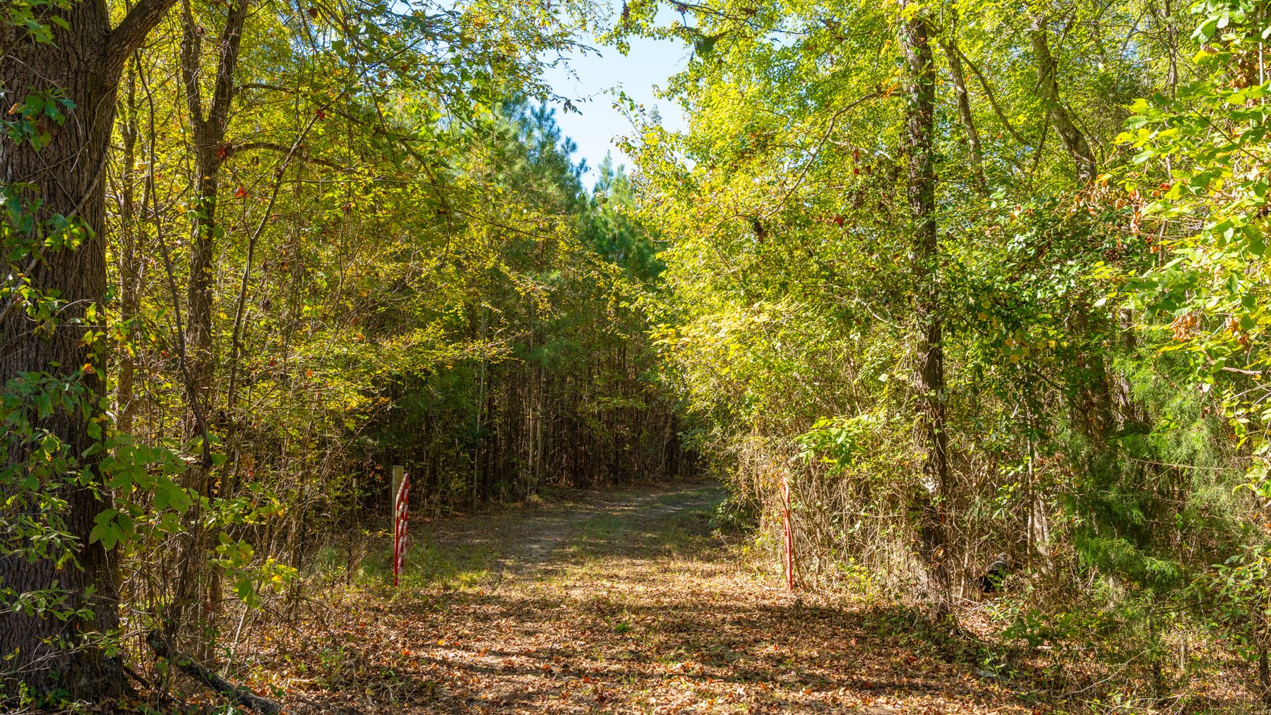 Image for 170+/- Acres - The Ohoopee River Retreat - Prime Recreational Land w/ Hunting Cabin Offered Divided & as a Whole