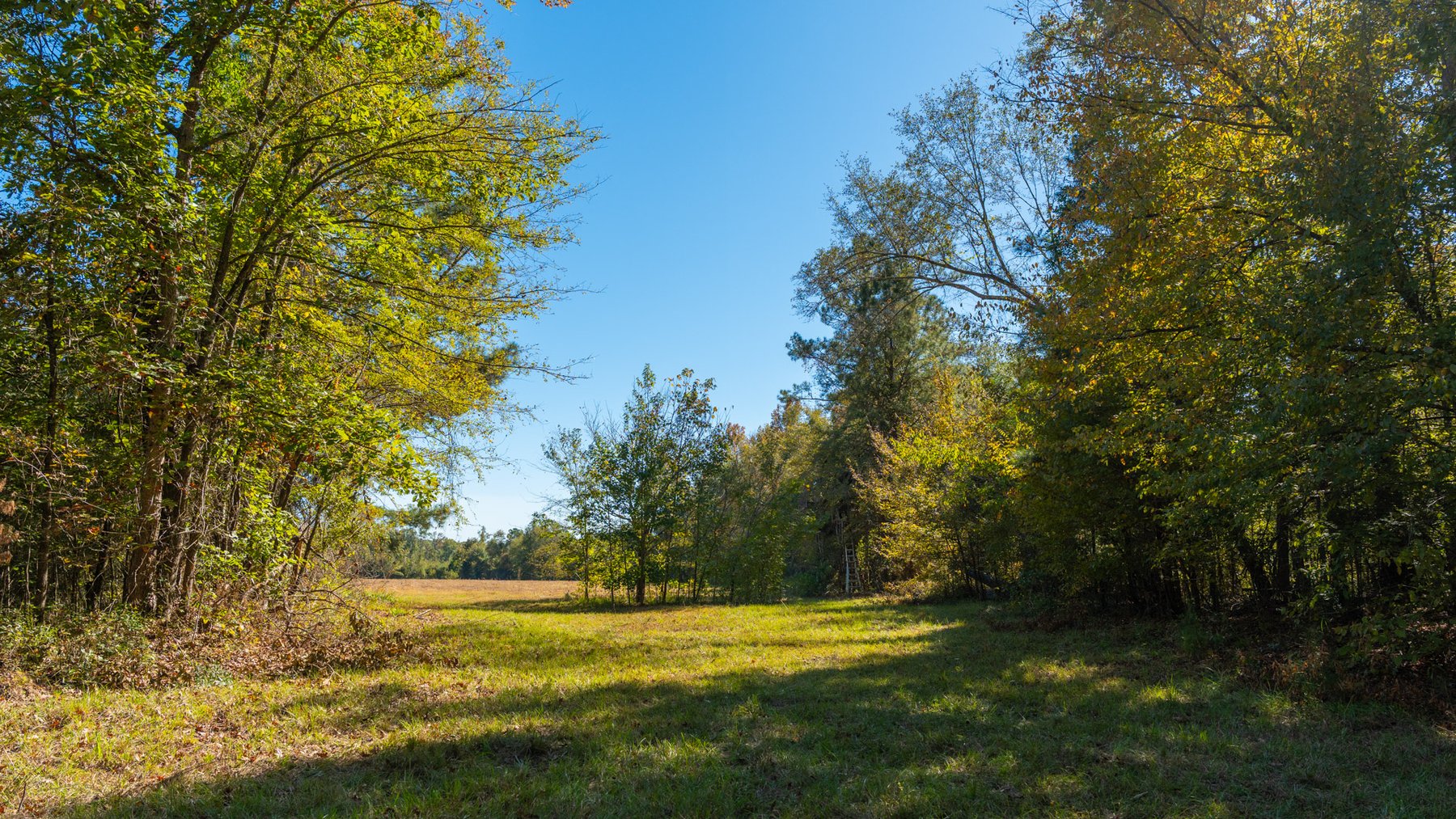 Image for 170+/- Acres - The Ohoopee River Retreat - Prime Recreational Land w/ Hunting Cabin Offered Divided & as a Whole