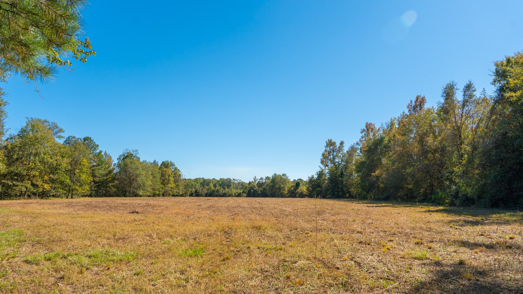 Image for 170+/- Acres - The Ohoopee River Retreat - Prime Recreational Land w/ Hunting Cabin Offered Divided & as a Whole