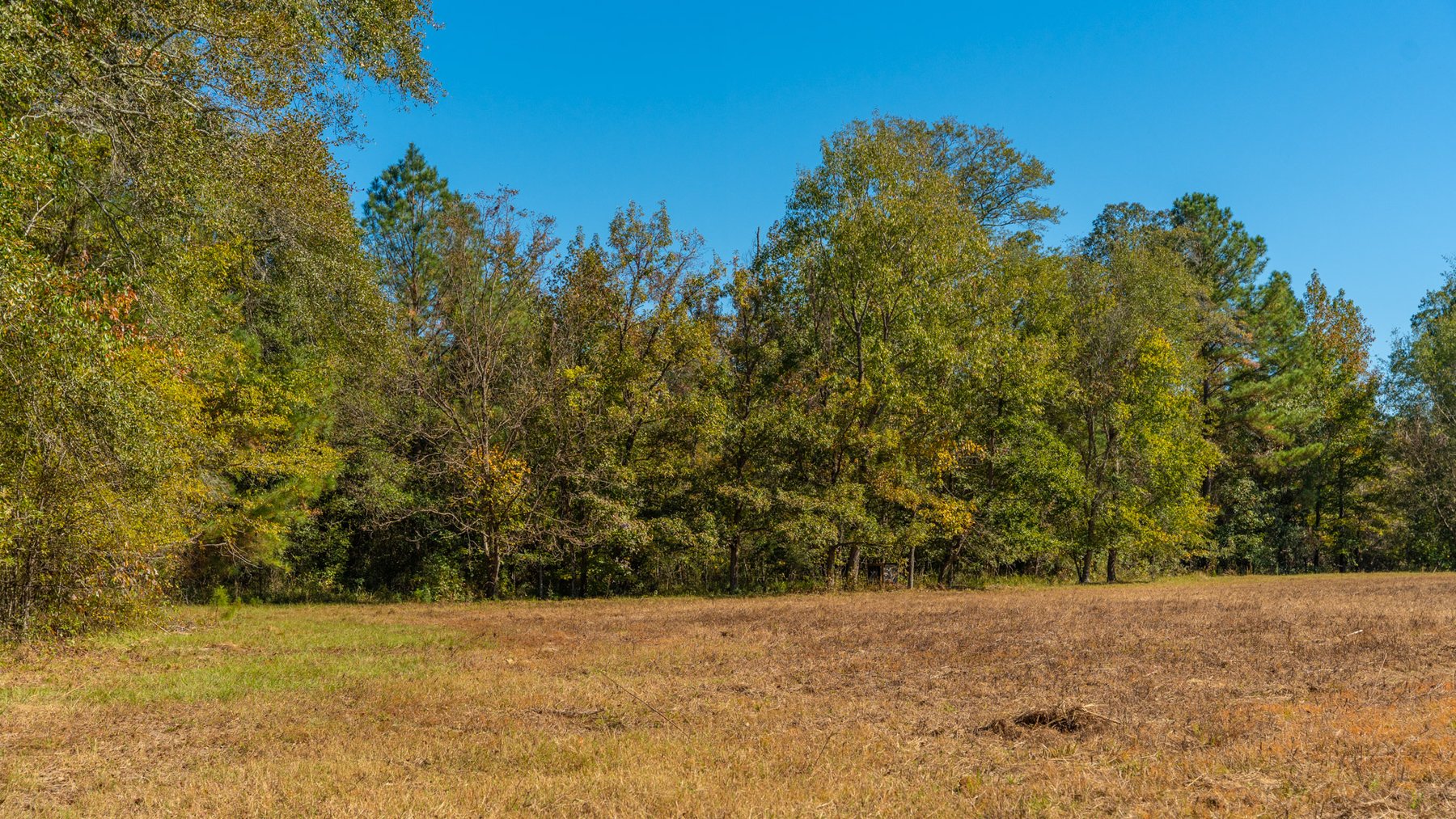 Image for 170+/- Acres - The Ohoopee River Retreat - Prime Recreational Land w/ Hunting Cabin Offered Divided & as a Whole