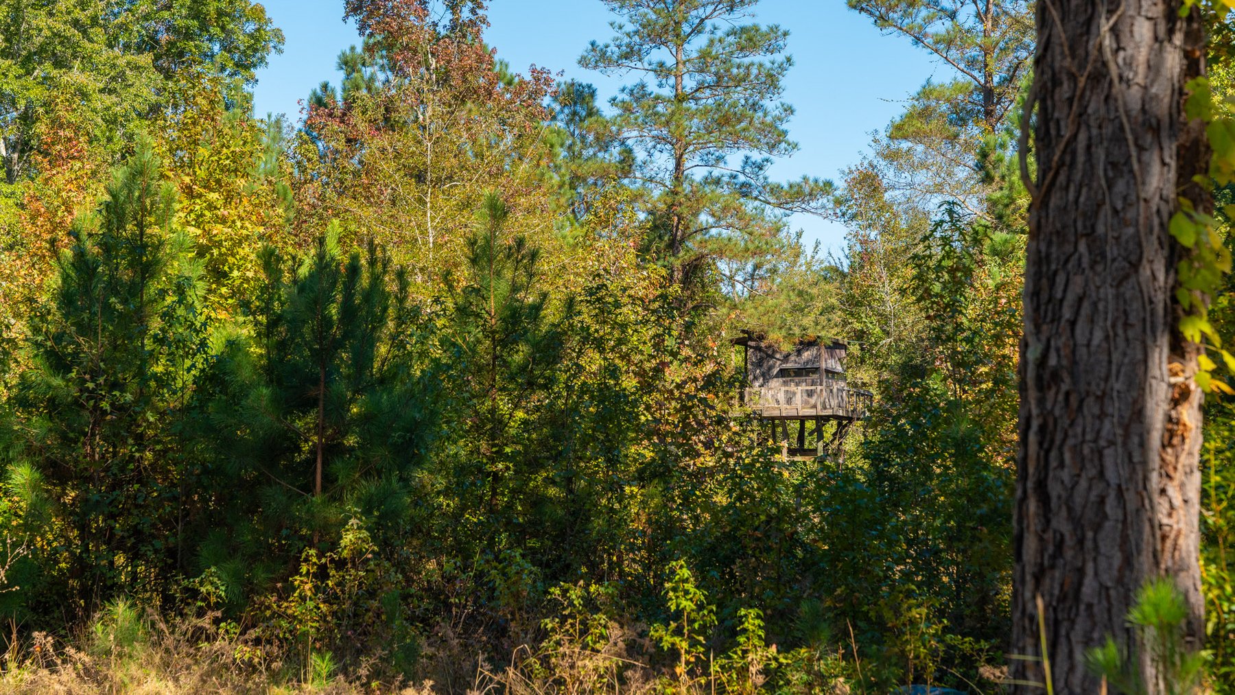 Image for 170+/- Acres - The Ohoopee River Retreat - Prime Recreational Land w/ Hunting Cabin Offered Divided & as a Whole