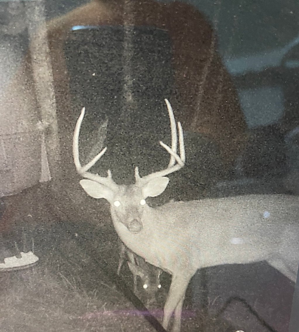 Image for 170+/- Acres - The Ohoopee River Retreat - Prime Recreational Land w/ Hunting Cabin Offered Divided & as a Whole