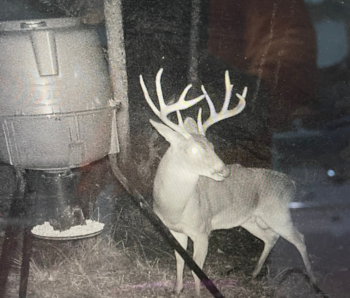 Image for 170+/- Acres - The Ohoopee River Retreat - Prime Recreational Land w/ Hunting Cabin Offered Divided & as a Whole