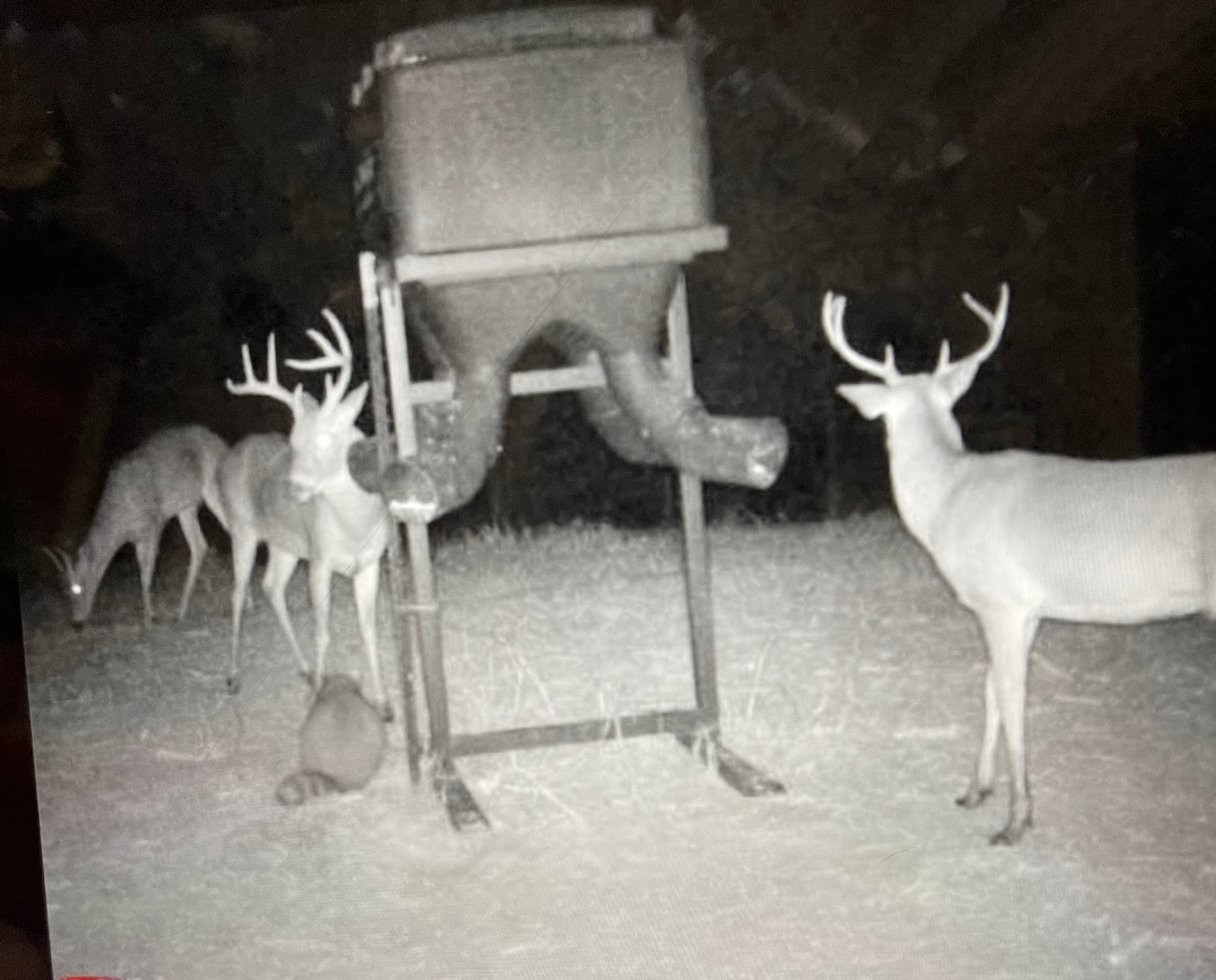 Image for 170+/- Acres - The Ohoopee River Retreat - Prime Recreational Land w/ Hunting Cabin Offered Divided & as a Whole