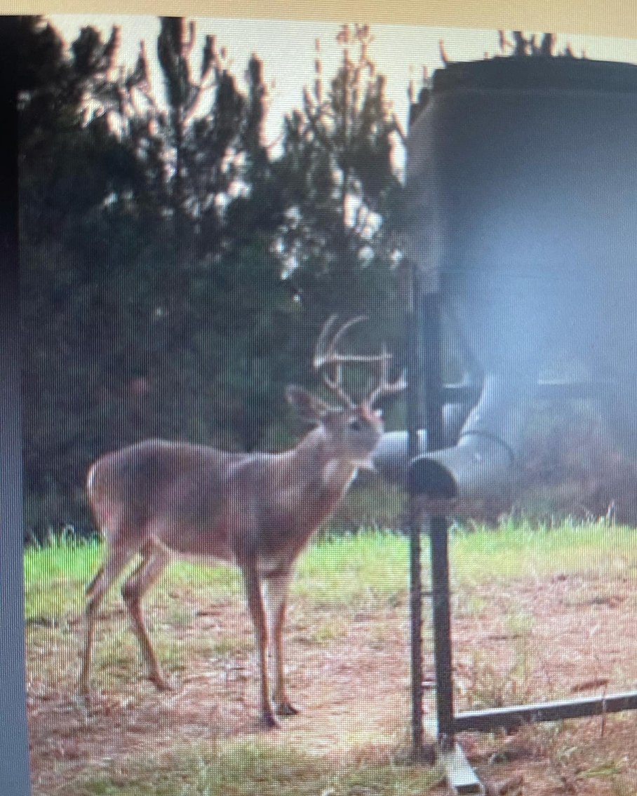 Image for 170+/- Acres - The Ohoopee River Retreat - Prime Recreational Land w/ Hunting Cabin Offered Divided & as a Whole