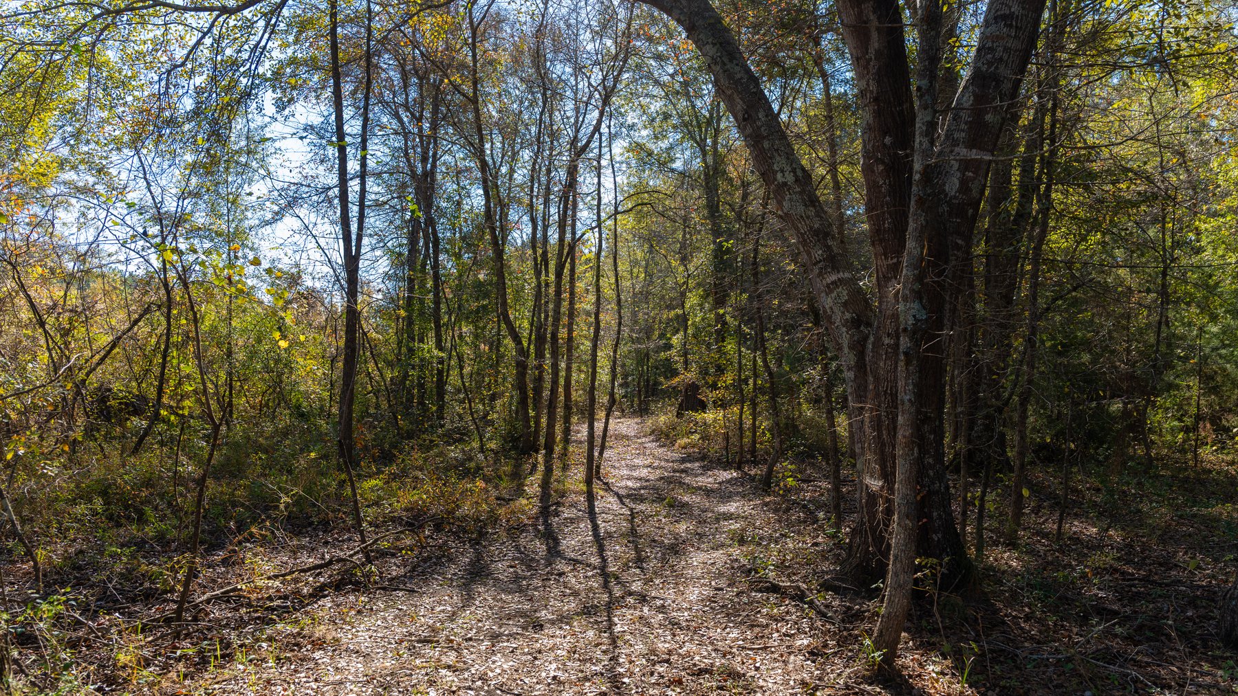 Image for 300+/- Total Acres - The Smithville Farm - Sportsman's Paradise W/ Row Crop Farmland