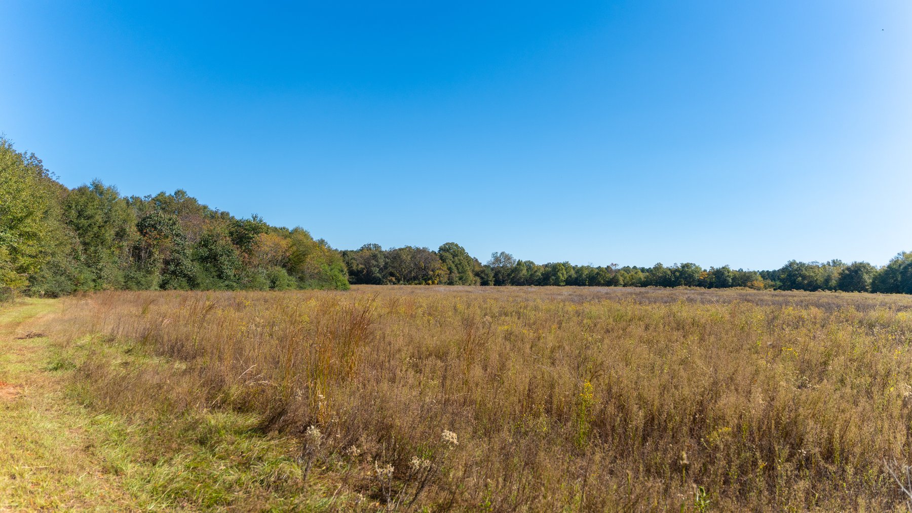 Image for 300+/- Total Acres - The Smithville Farm - Sportsman's Paradise W/ Row Crop Farmland