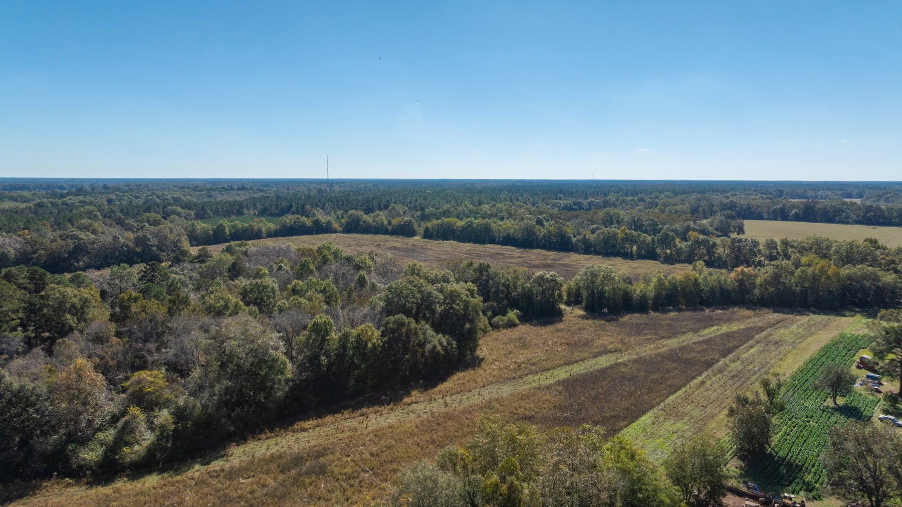 Image for 300+/- Total Acres - The Smithville Farm - Sportsman's Paradise W/ Row Crop Farmland