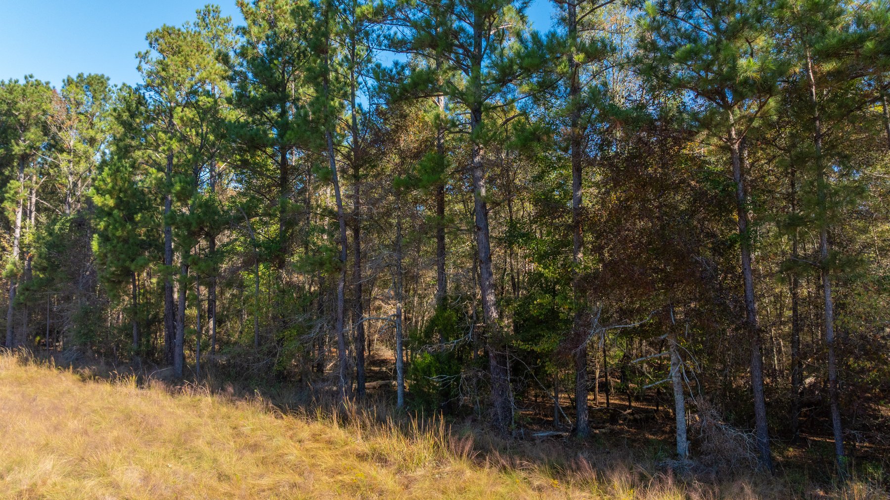 Image for 300+/- Total Acres - The Smithville Farm - Sportsman's Paradise W/ Row Crop Farmland