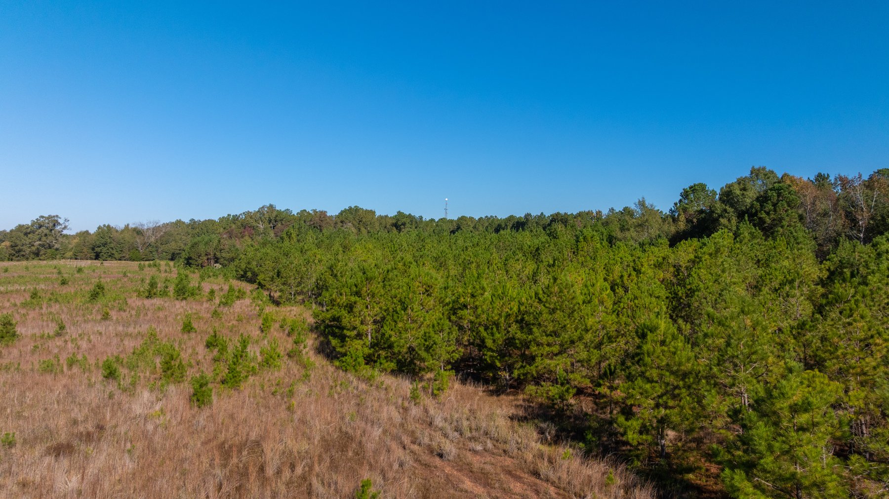 Image for 300+/- Total Acres - The Smithville Farm - Sportsman's Paradise W/ Row Crop Farmland