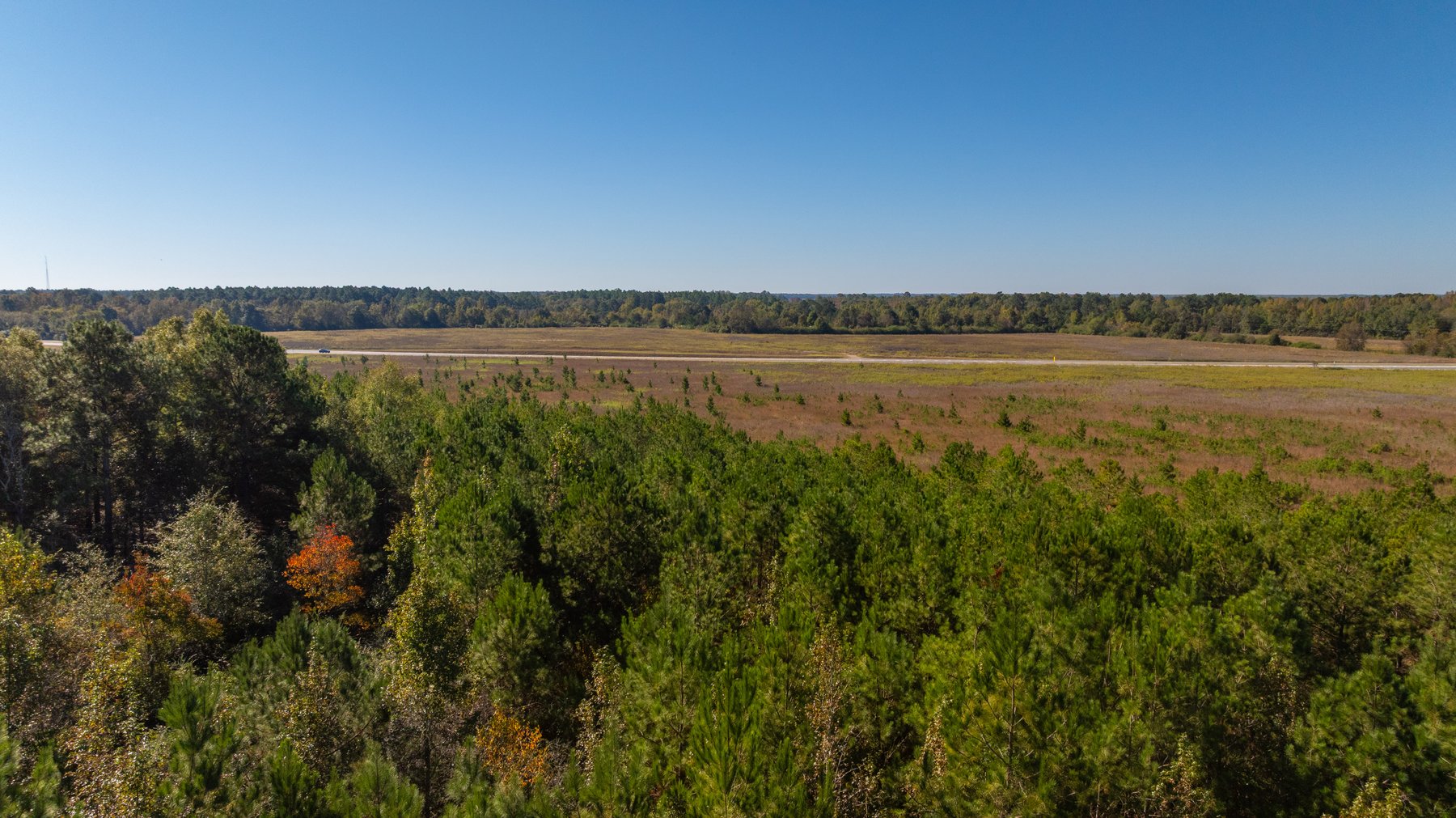 Image for 300+/- Total Acres - The Smithville Farm - Sportsman's Paradise W/ Row Crop Farmland