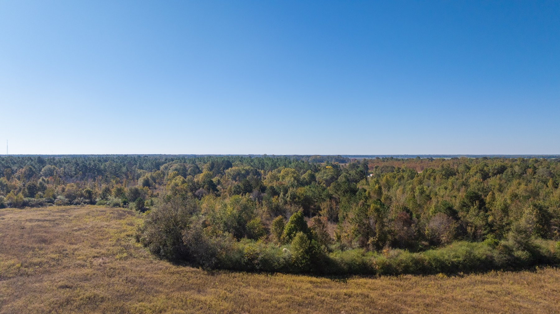 Image for 300+/- Total Acres - The Smithville Farm - Sportsman's Paradise W/ Row Crop Farmland