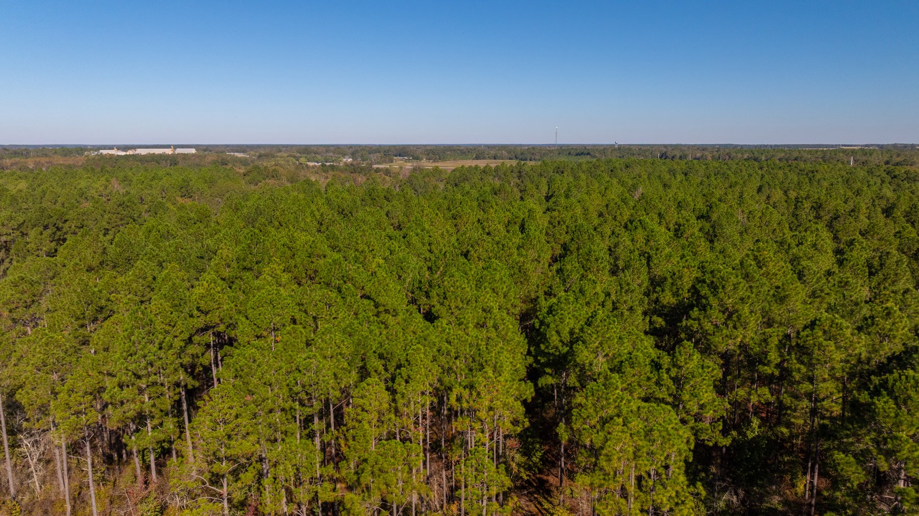 Image for 300+/- Total Acres - The Smithville Farm - Sportsman's Paradise W/ Row Crop Farmland