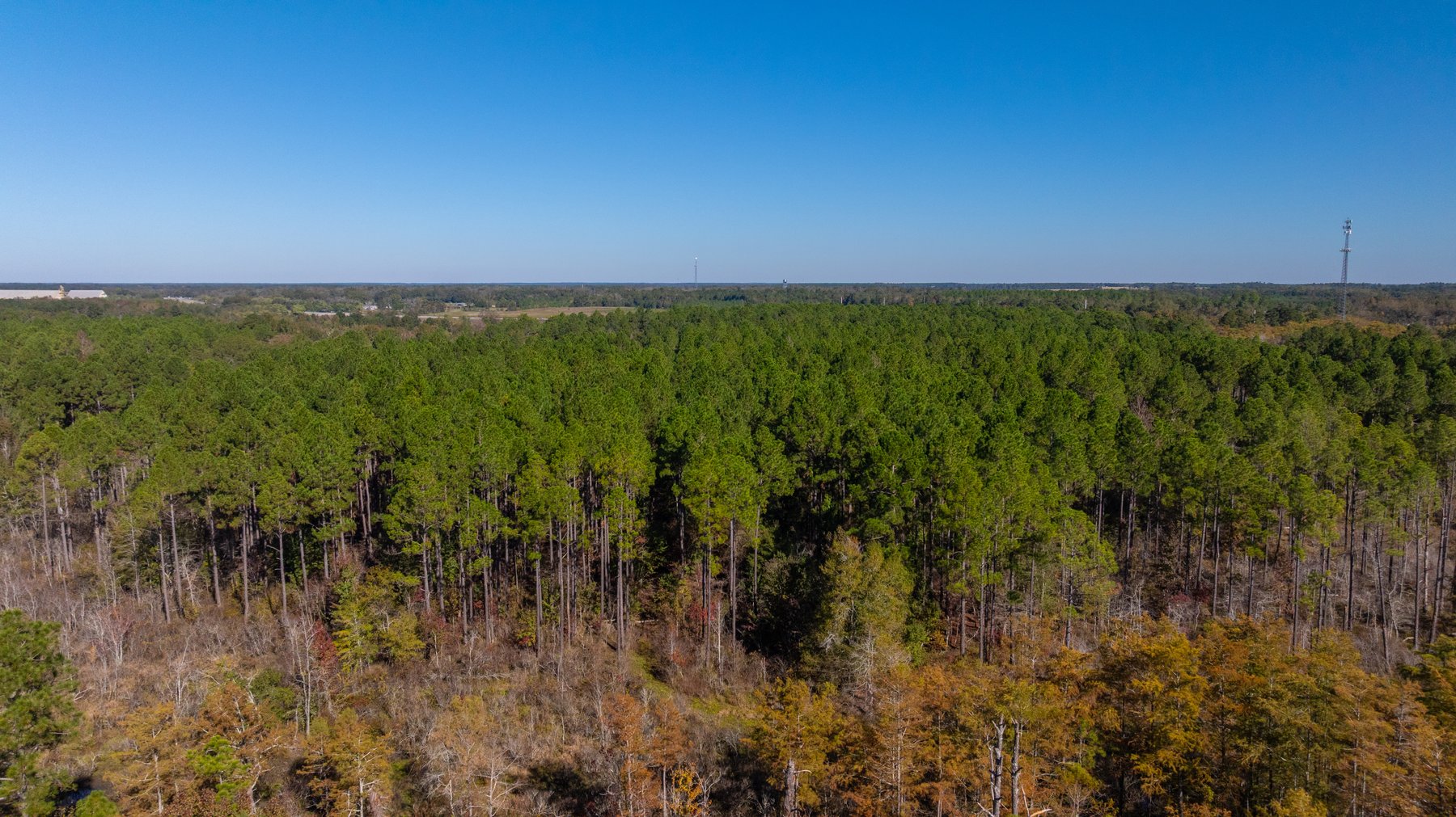 Image for 300+/- Total Acres - The Smithville Farm - Sportsman's Paradise W/ Row Crop Farmland