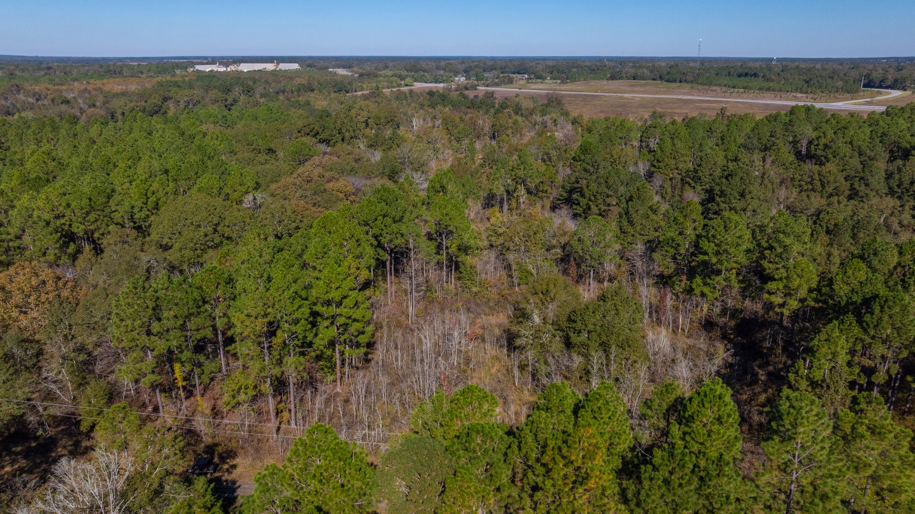 Image for 300+/- Total Acres - The Smithville Farm - Sportsman's Paradise W/ Row Crop Farmland