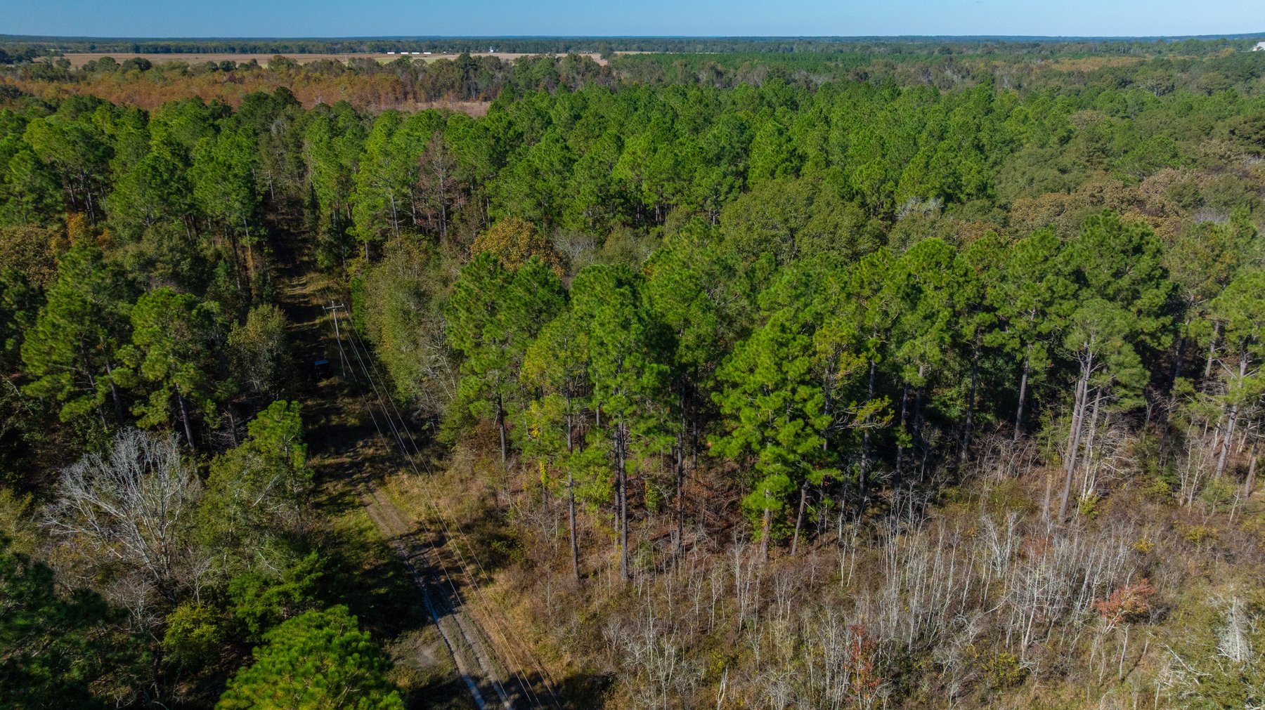 Image for 300+/- Total Acres - The Smithville Farm - Sportsman's Paradise W/ Row Crop Farmland