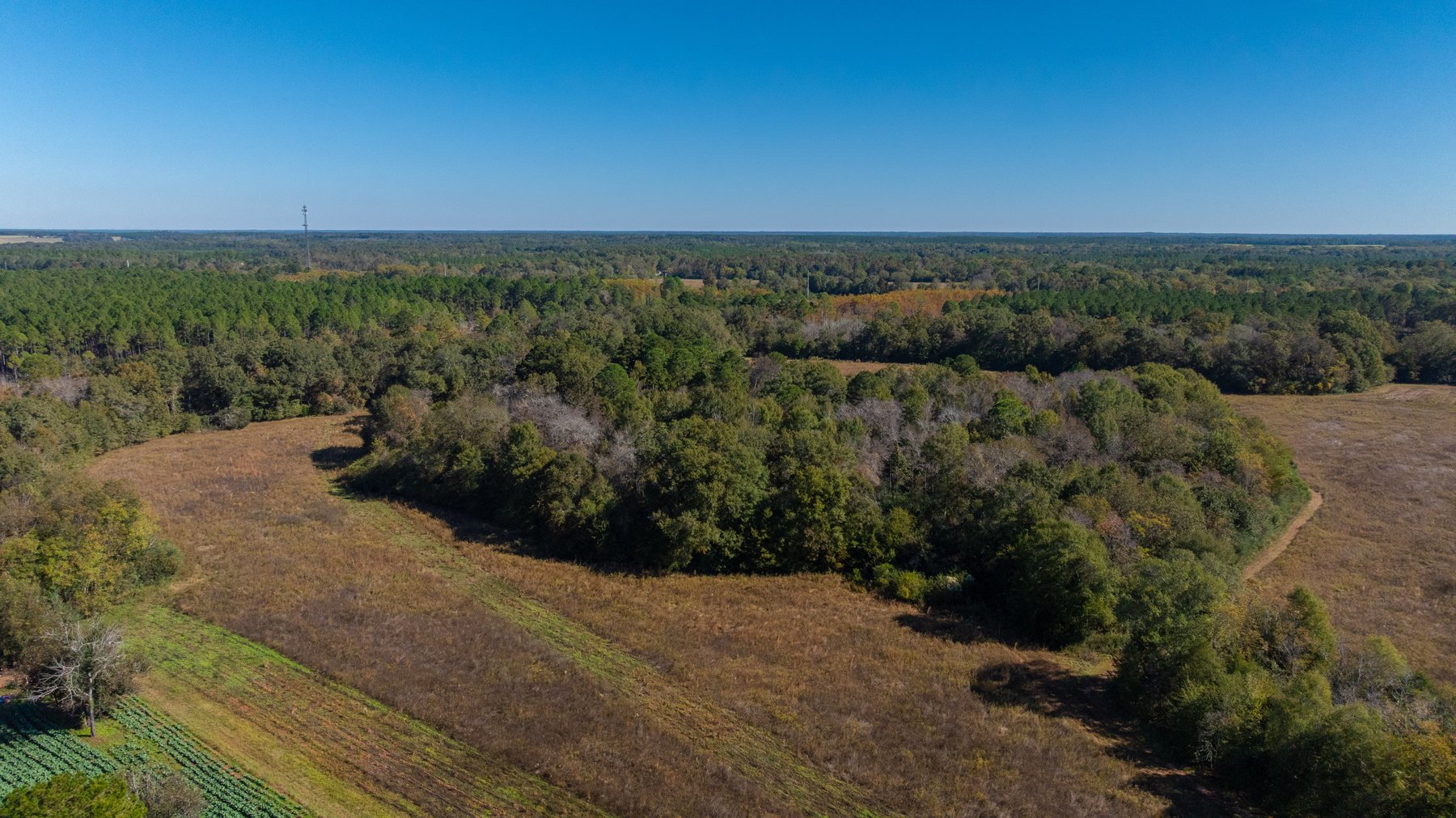 Image for 300+/- Total Acres - The Smithville Farm - Sportsman's Paradise W/ Row Crop Farmland