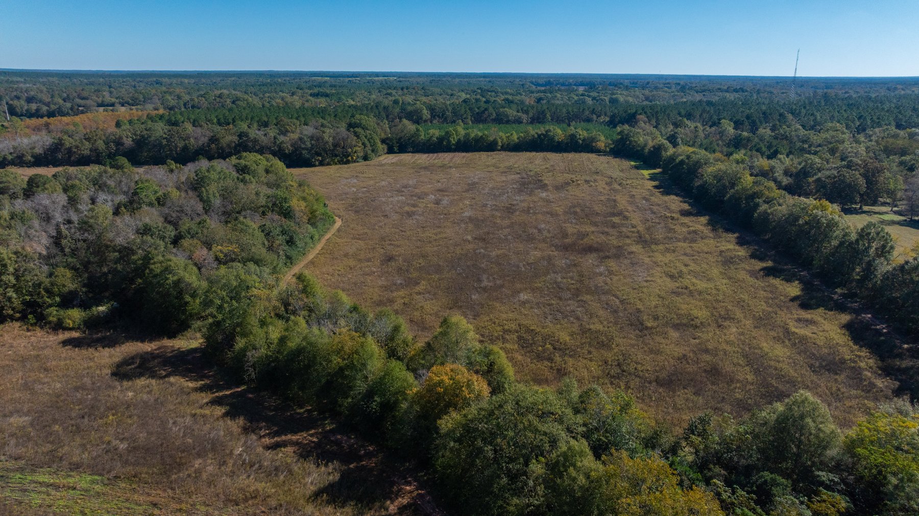 Image for 300+/- Total Acres - The Smithville Farm - Sportsman's Paradise W/ Row Crop Farmland