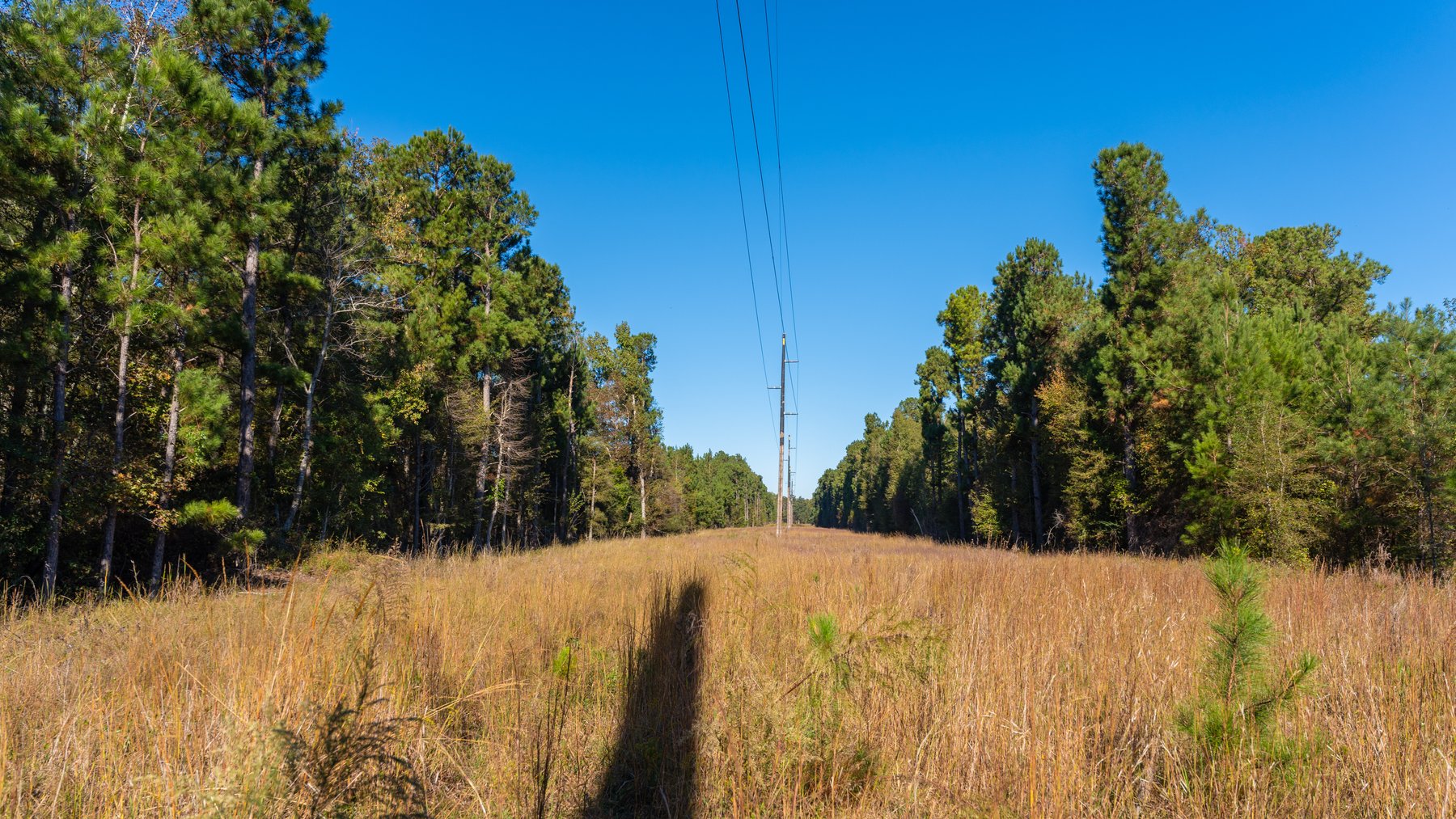 Image for 300+/- Total Acres - The Smithville Farm - Sportsman's Paradise W/ Row Crop Farmland
