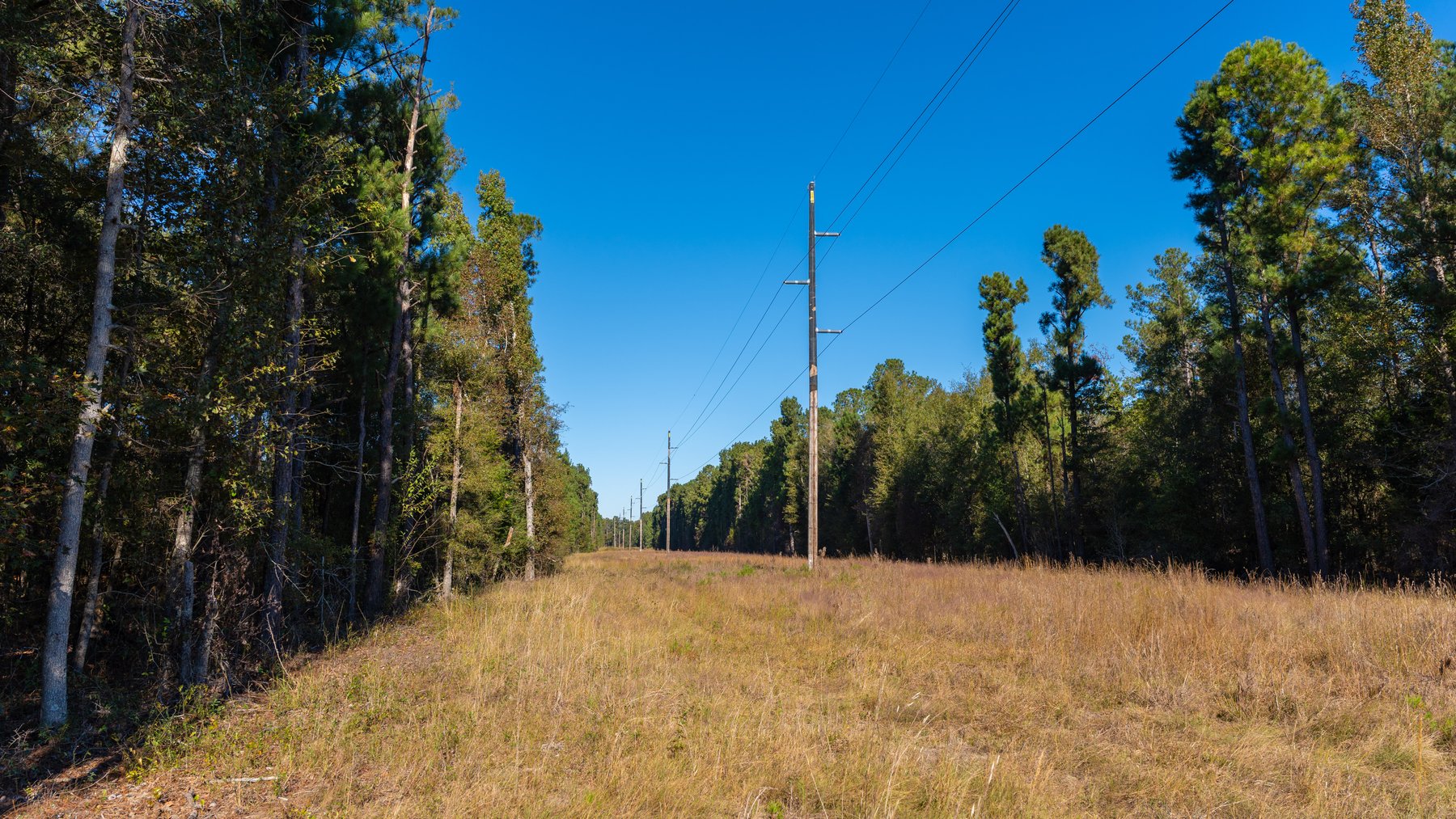 Image for 300+/- Total Acres - The Smithville Farm - Sportsman's Paradise W/ Row Crop Farmland