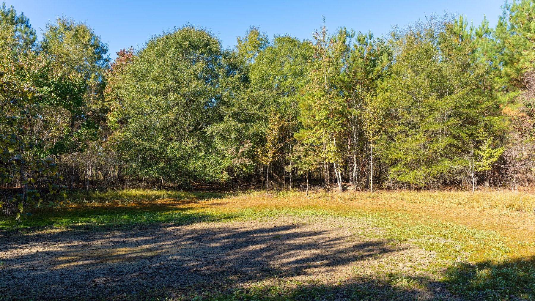 Image for 300+/- Total Acres - The Smithville Farm - Sportsman's Paradise W/ Row Crop Farmland