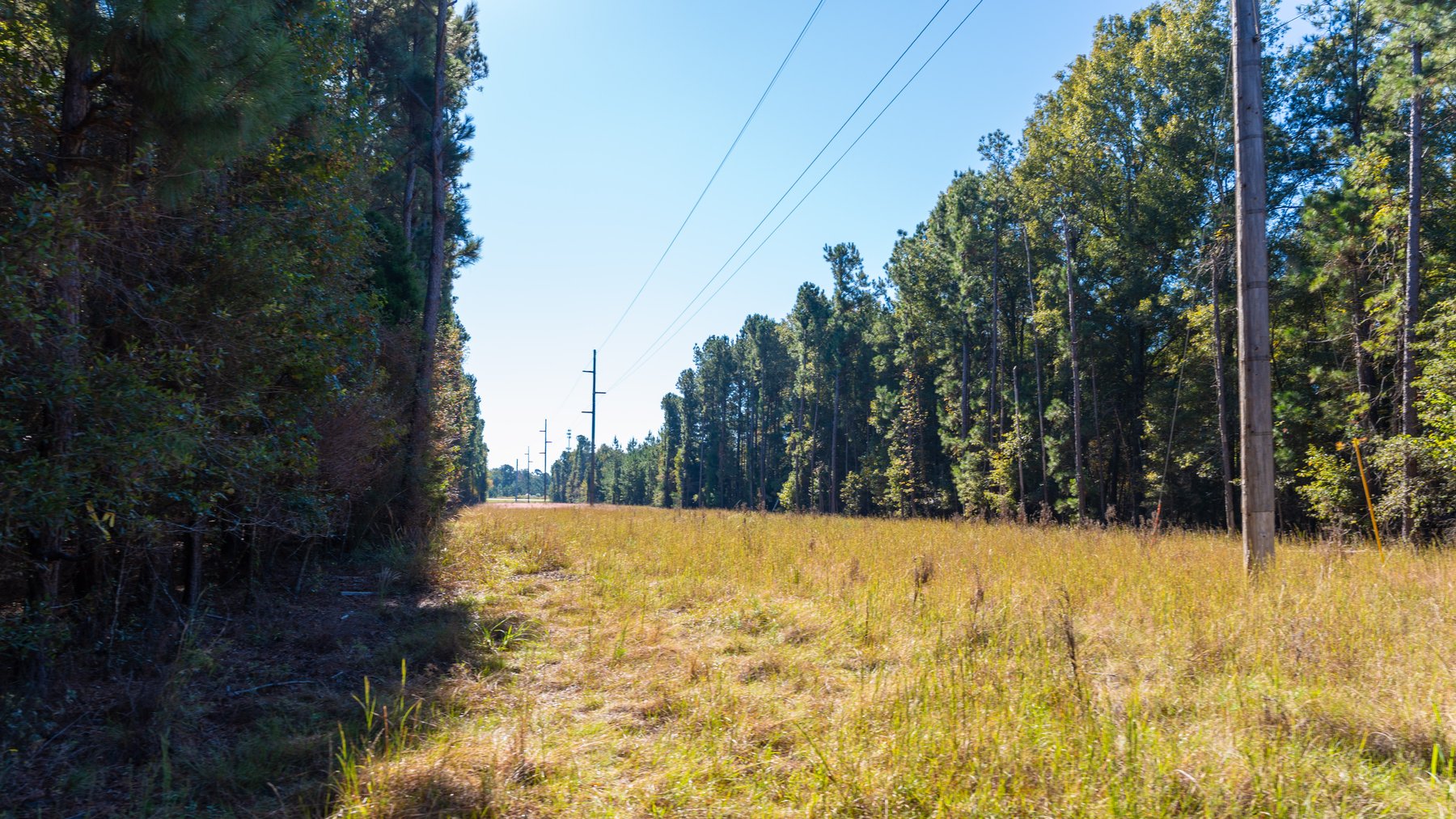 Image for 300+/- Total Acres - The Smithville Farm - Sportsman's Paradise W/ Row Crop Farmland