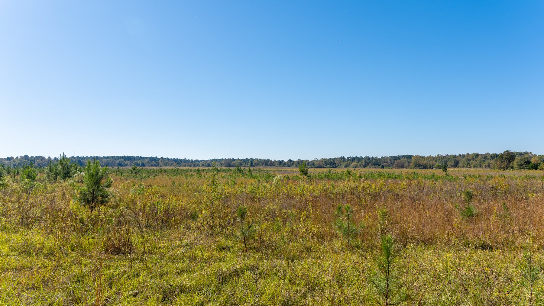 Image for 300+/- Total Acres - The Smithville Farm - Sportsman's Paradise W/ Row Crop Farmland