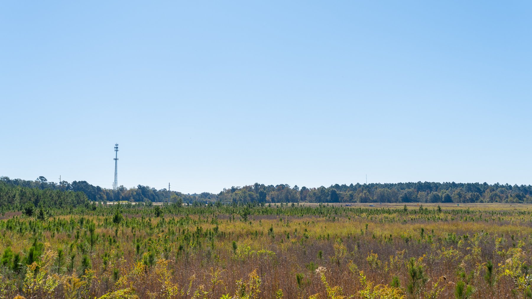 Image for 300+/- Total Acres - The Smithville Farm - Sportsman's Paradise W/ Row Crop Farmland