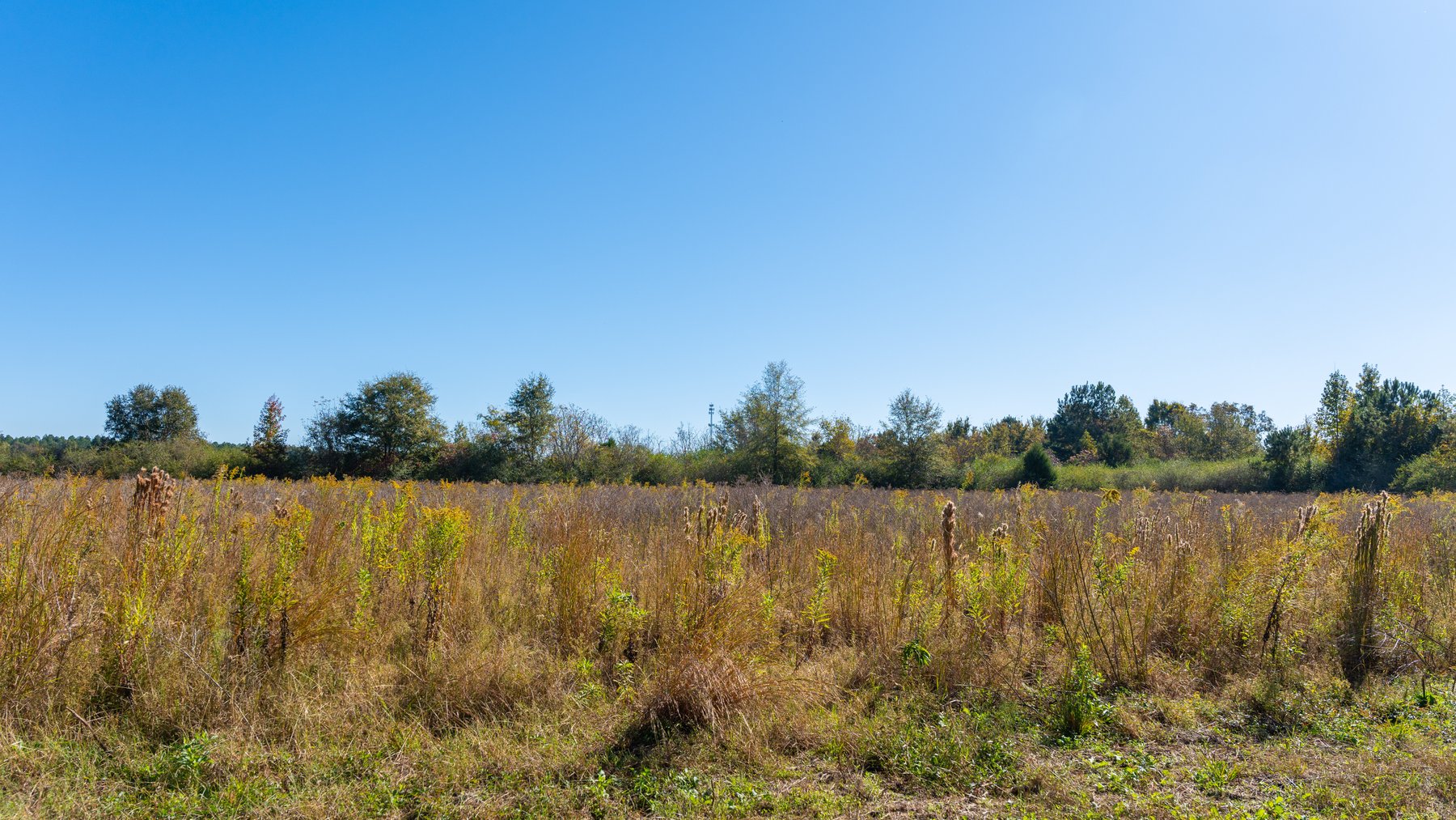 Image for 300+/- Total Acres - The Smithville Farm - Sportsman's Paradise W/ Row Crop Farmland