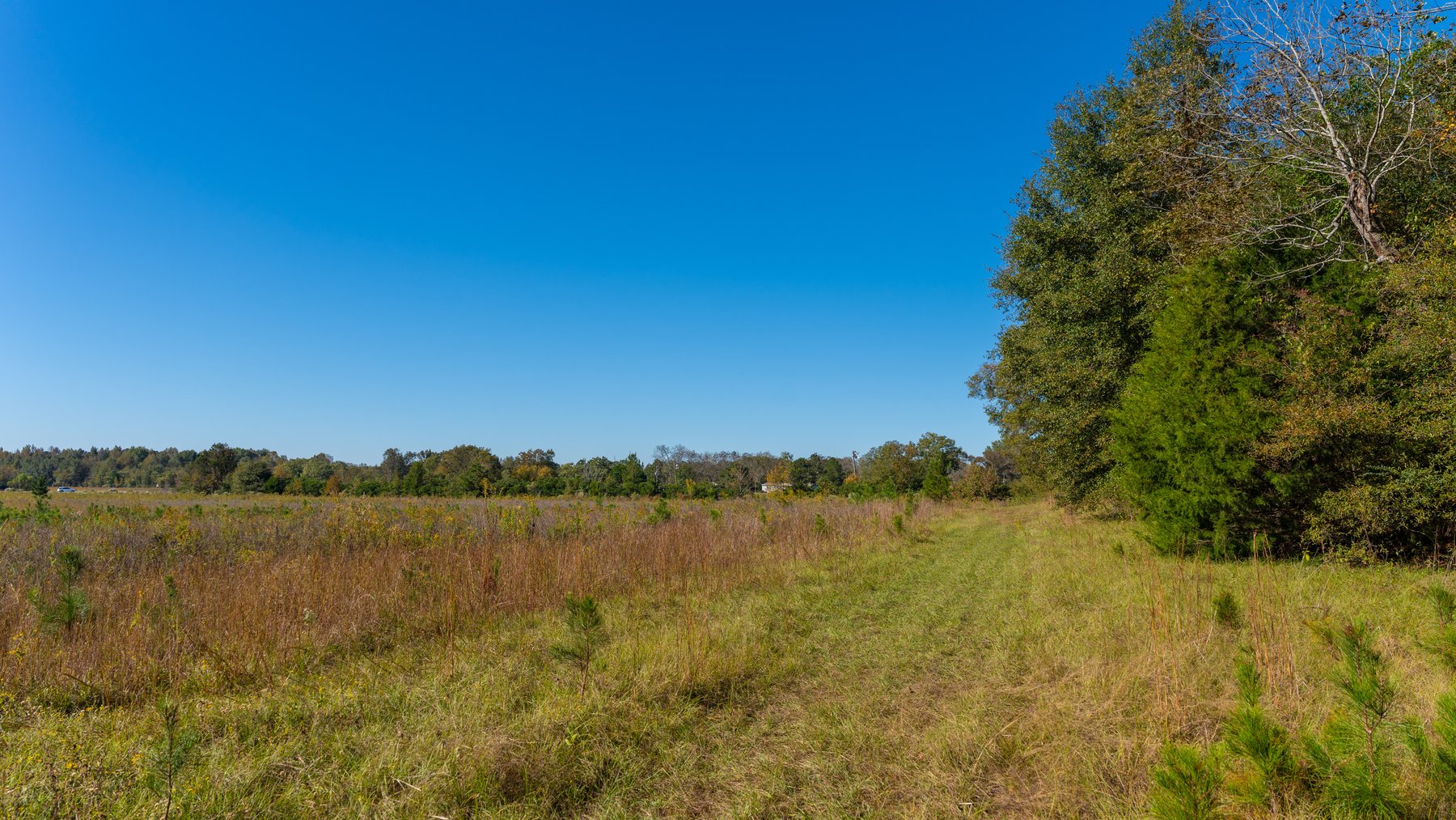 Image for 300+/- Total Acres - The Smithville Farm - Sportsman's Paradise W/ Row Crop Farmland