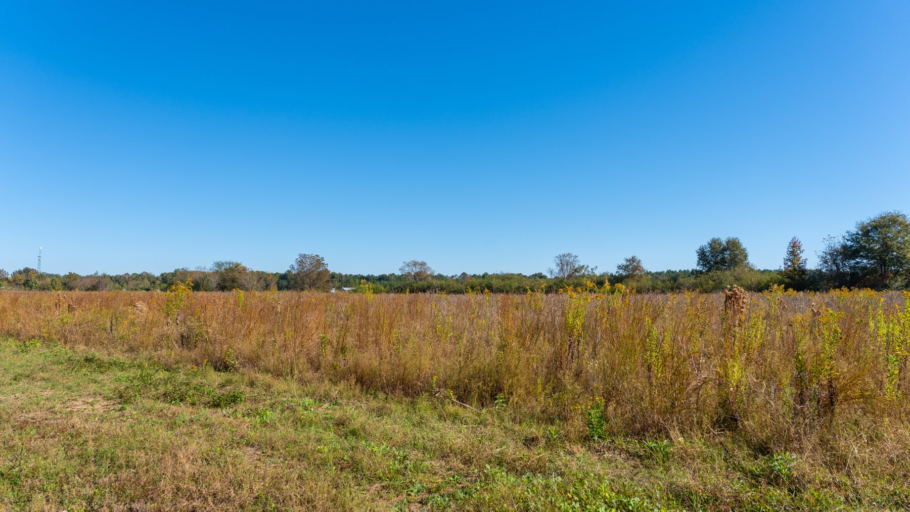 Image for 300+/- Total Acres - The Smithville Farm - Sportsman's Paradise W/ Row Crop Farmland