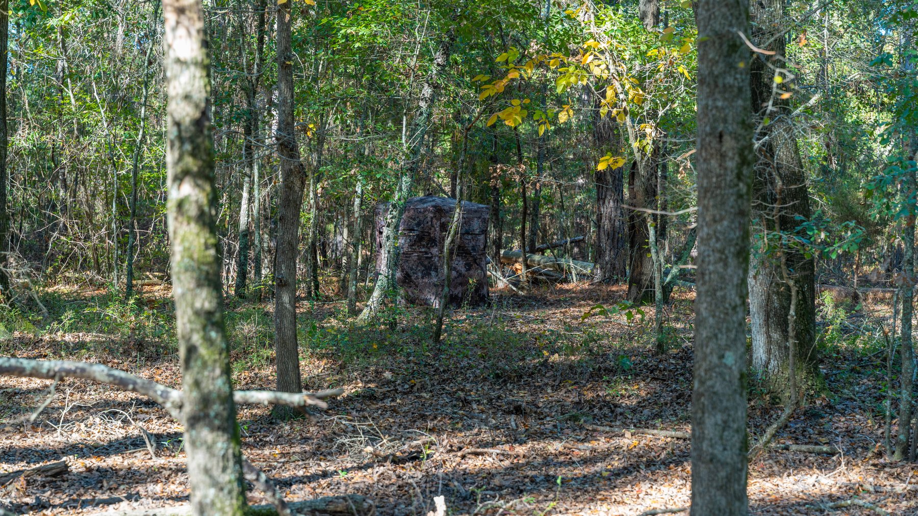 Image for 300+/- Total Acres - The Smithville Farm - Sportsman's Paradise W/ Row Crop Farmland