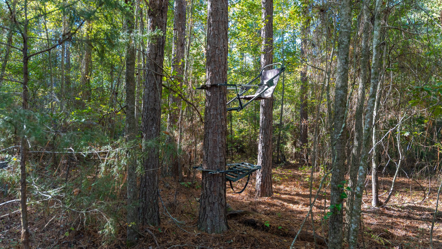 Image for 300+/- Total Acres - The Smithville Farm - Sportsman's Paradise W/ Row Crop Farmland