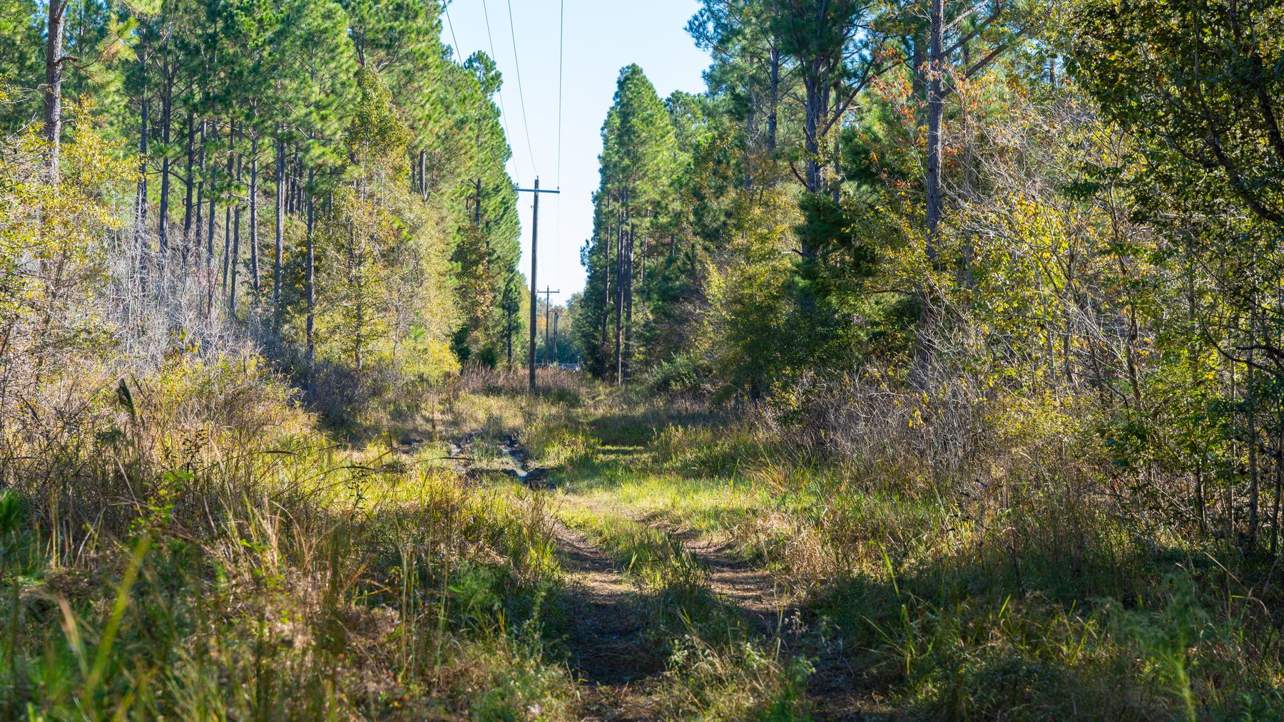Image for 300+/- Total Acres - The Smithville Farm - Sportsman's Paradise W/ Row Crop Farmland