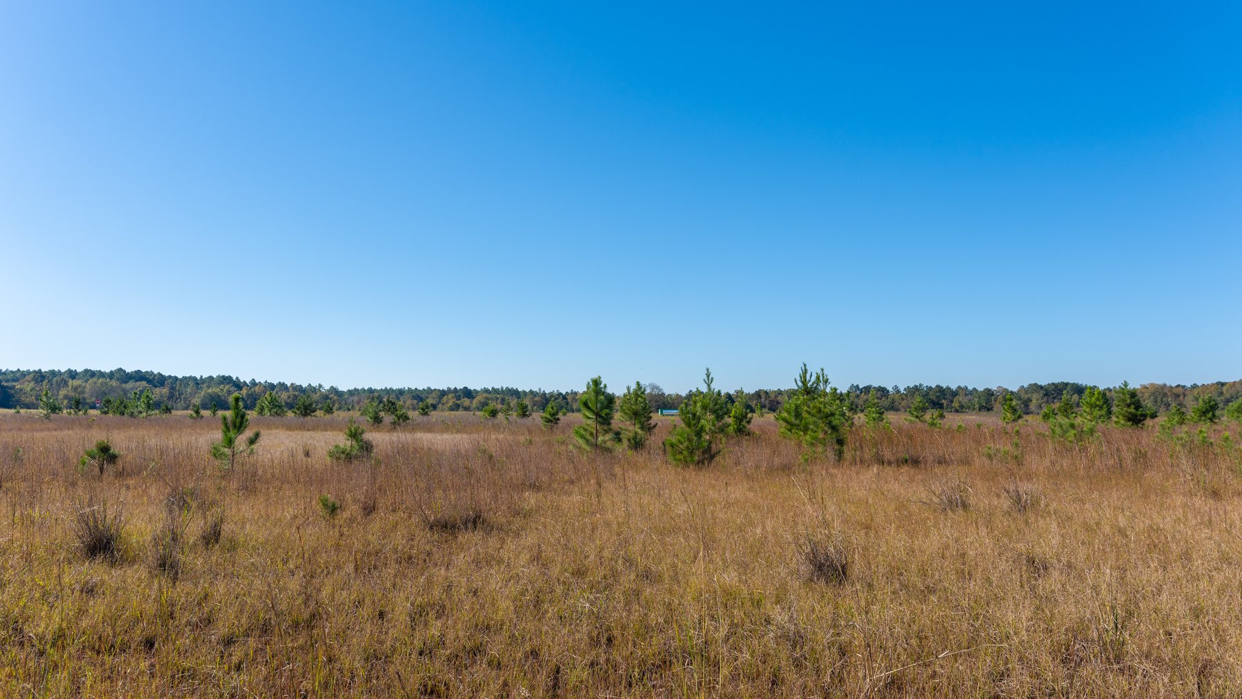 Image for 300+/- Total Acres - The Smithville Farm - Sportsman's Paradise W/ Row Crop Farmland