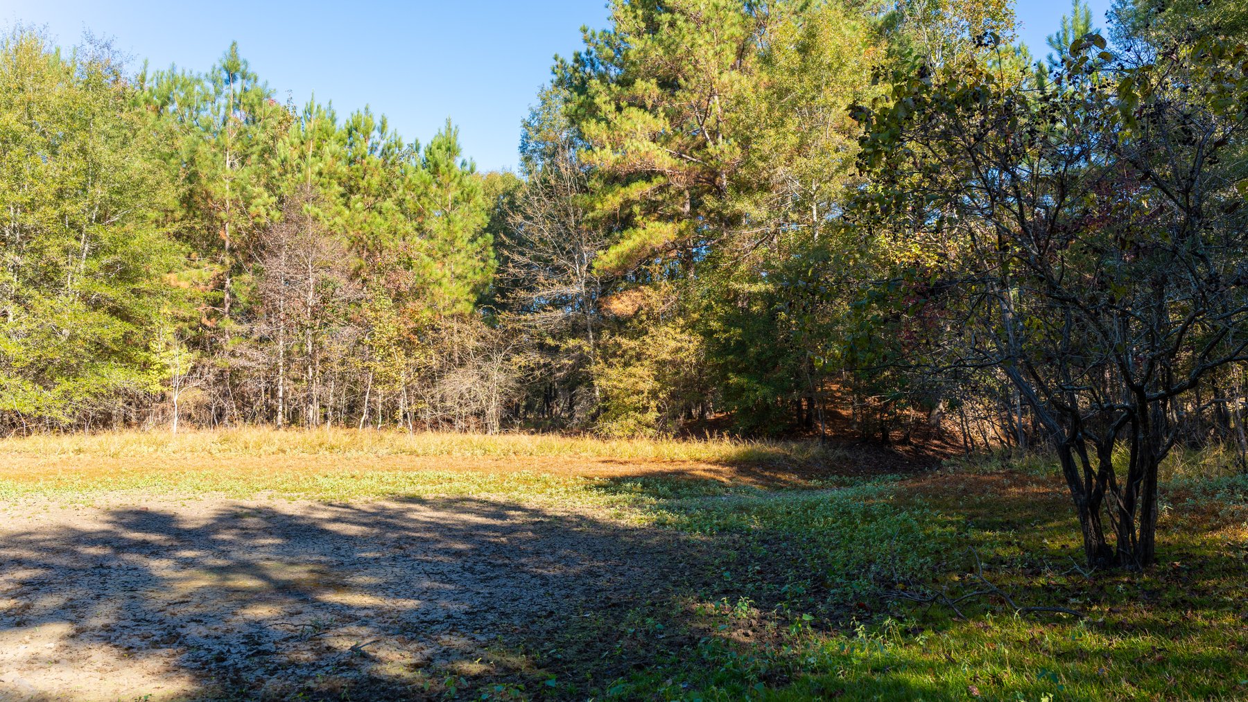 Image for 300+/- Total Acres - The Smithville Farm - Sportsman's Paradise W/ Row Crop Farmland