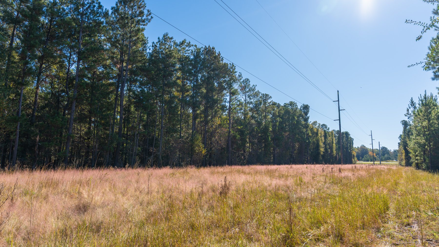 Image for 300+/- Total Acres - The Smithville Farm - Sportsman's Paradise W/ Row Crop Farmland