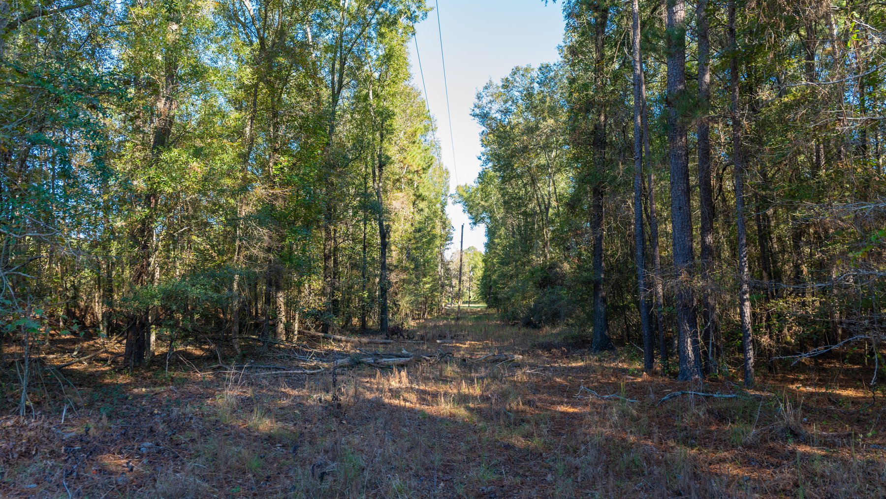 Image for 300+/- Total Acres - The Smithville Farm - Sportsman's Paradise W/ Row Crop Farmland