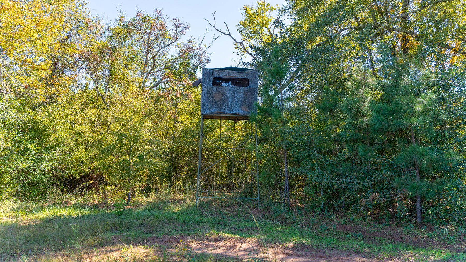 Image for 300+/- Total Acres - The Smithville Farm - Sportsman's Paradise W/ Row Crop Farmland