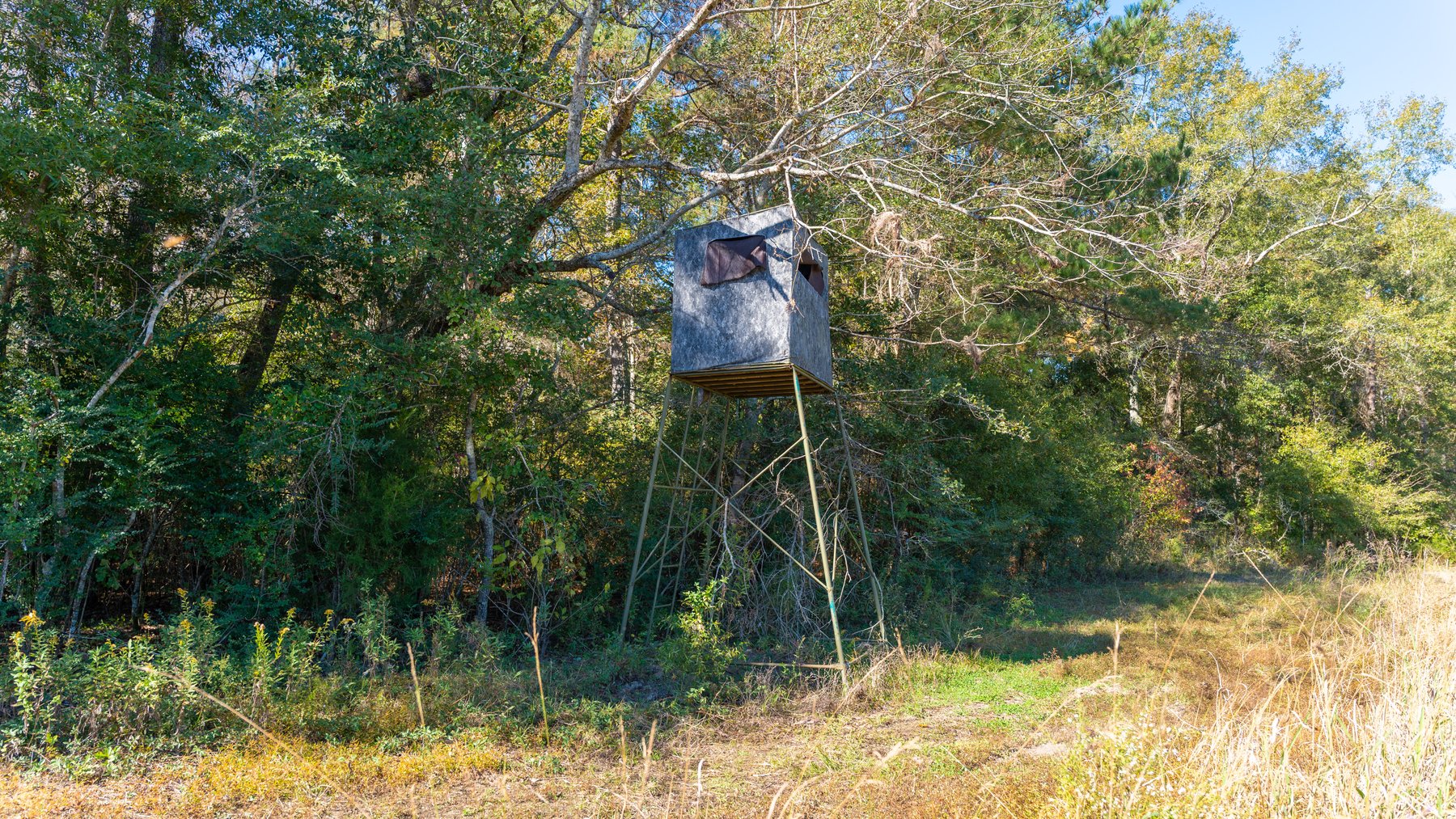 Image for 300+/- Total Acres - The Smithville Farm - Sportsman's Paradise W/ Row Crop Farmland