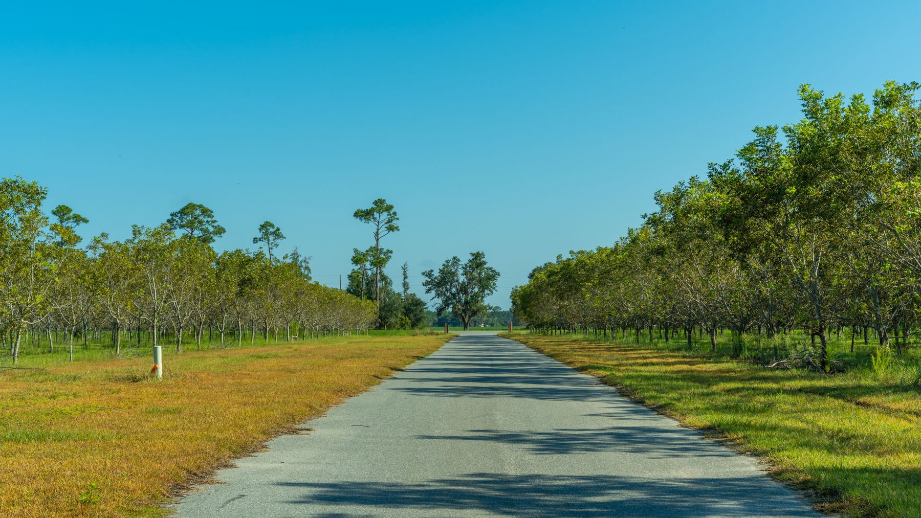 Image for 323± Acres - O’Brien Orchard - Prime Location with Future Growth Potential - Homesites & Investment Appeal - Irrigated Orchard & Cleaning Facility