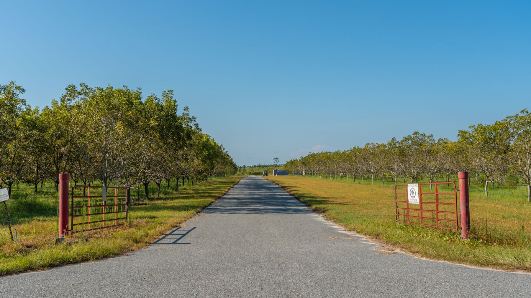 Image for 323± Acres - O’Brien Orchard - Prime Location with Future Growth Potential - Homesites & Investment Appeal - Irrigated Orchard & Cleaning Facility