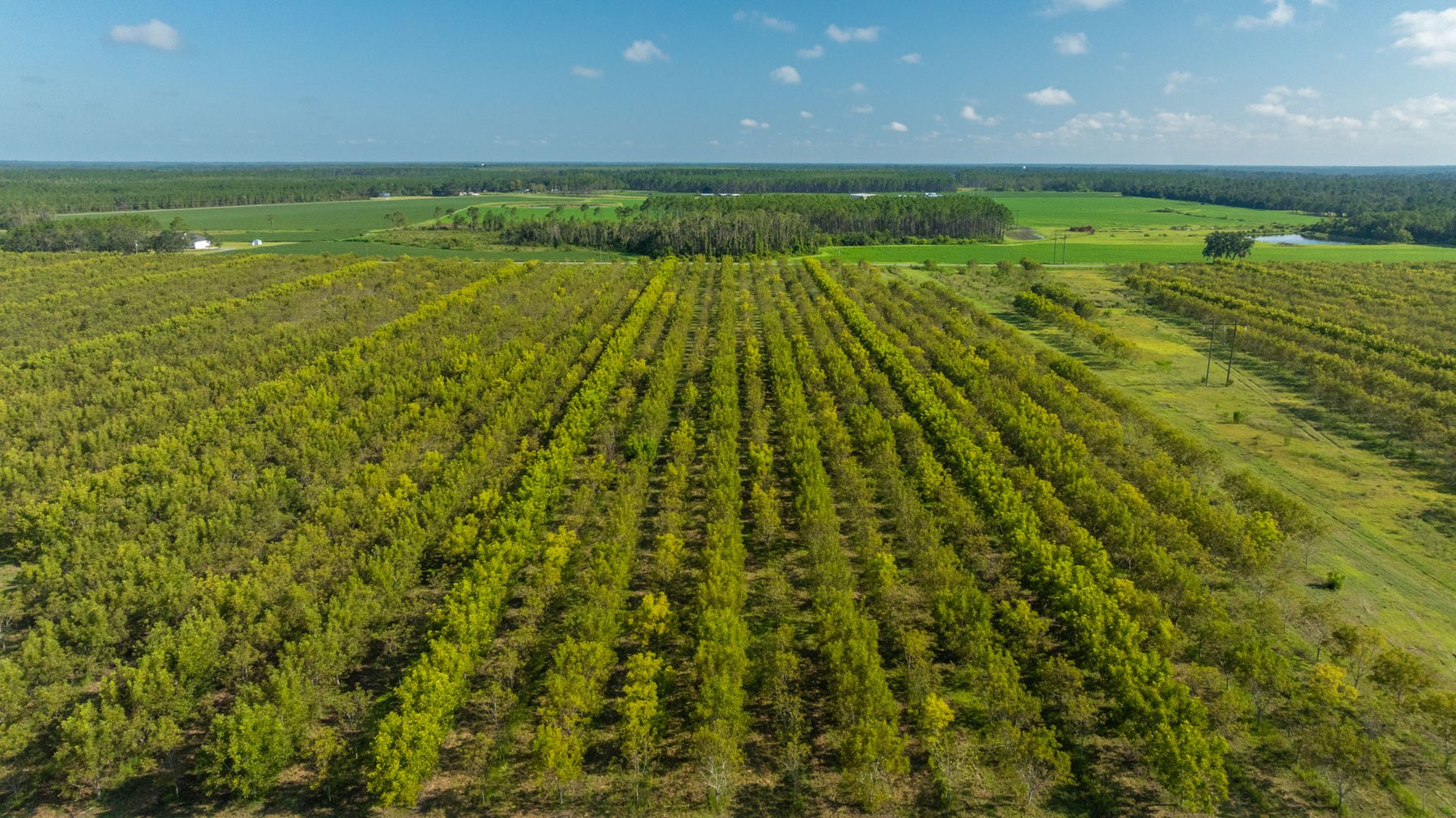 Image for 323± Acres - O’Brien Orchard - Prime Location with Future Growth Potential - Homesites & Investment Appeal - Irrigated Orchard & Cleaning Facility