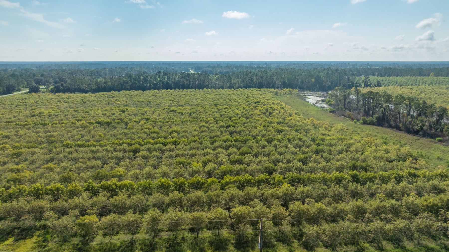Image for 323± Acres - O’Brien Orchard - Prime Location with Future Growth Potential - Homesites & Investment Appeal - Irrigated Orchard & Cleaning Facility
