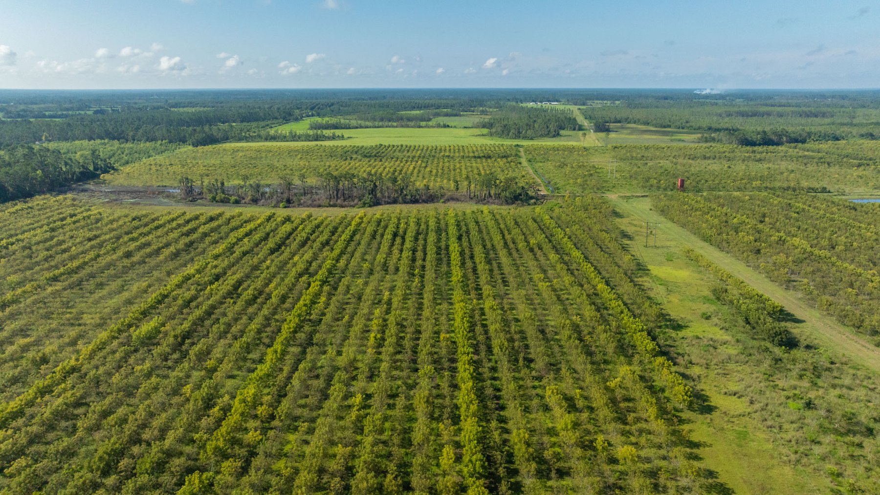 Image for 323± Acres - O’Brien Orchard - Prime Location with Future Growth Potential - Homesites & Investment Appeal - Irrigated Orchard & Cleaning Facility