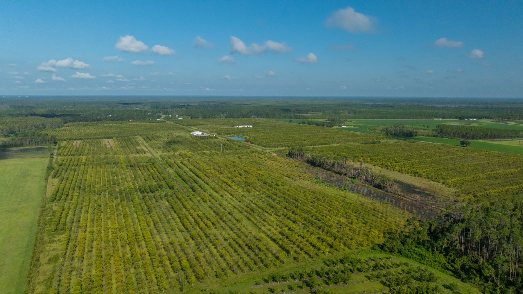 Image for 323± Acres - O’Brien Orchard - Prime Location with Future Growth Potential - Homesites & Investment Appeal - Irrigated Orchard & Cleaning Facility