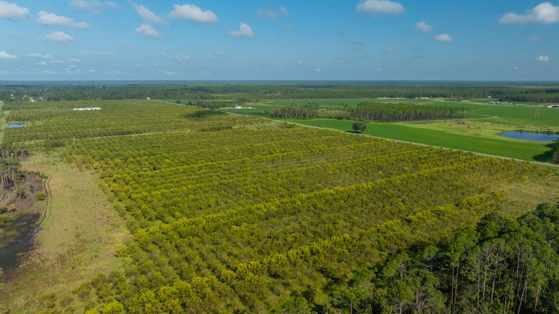 Image for 323± Acres - O’Brien Orchard - Prime Location with Future Growth Potential - Homesites & Investment Appeal - Irrigated Orchard & Cleaning Facility