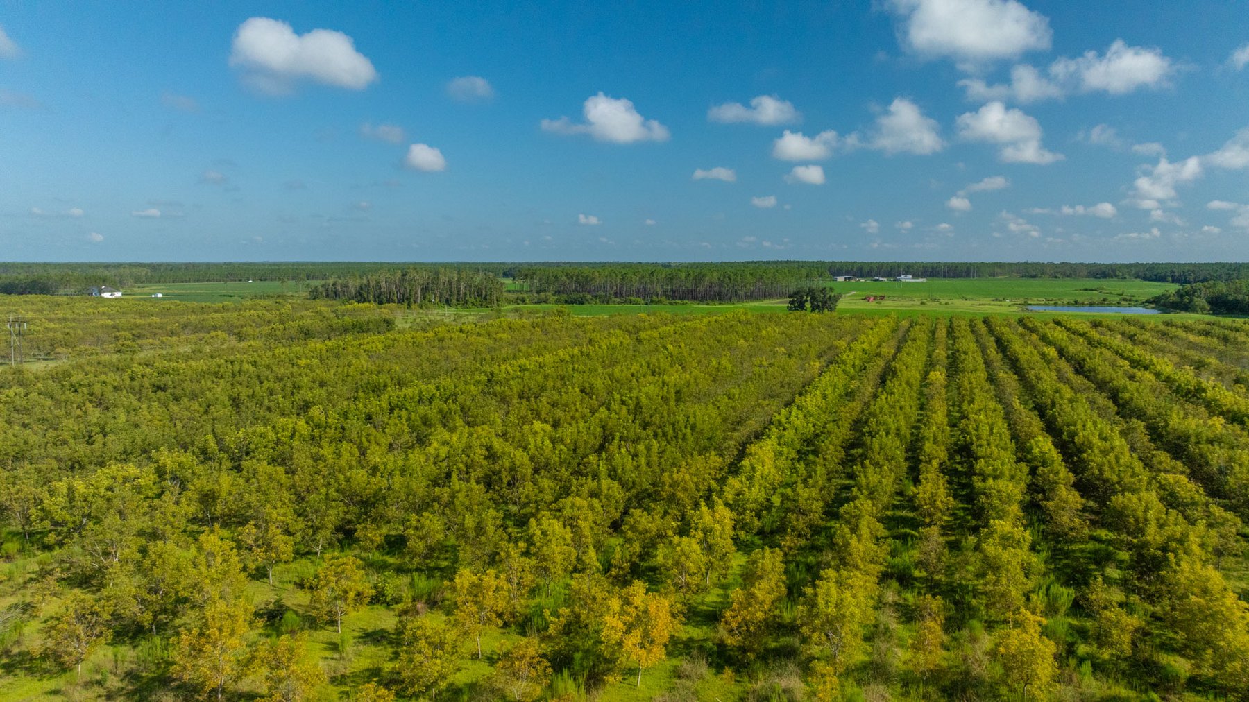 Image for 323± Acres - O’Brien Orchard - Prime Location with Future Growth Potential - Homesites & Investment Appeal - Irrigated Orchard & Cleaning Facility